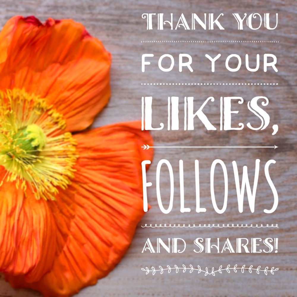 Thank You!